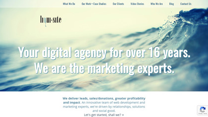 Liqui-Site image