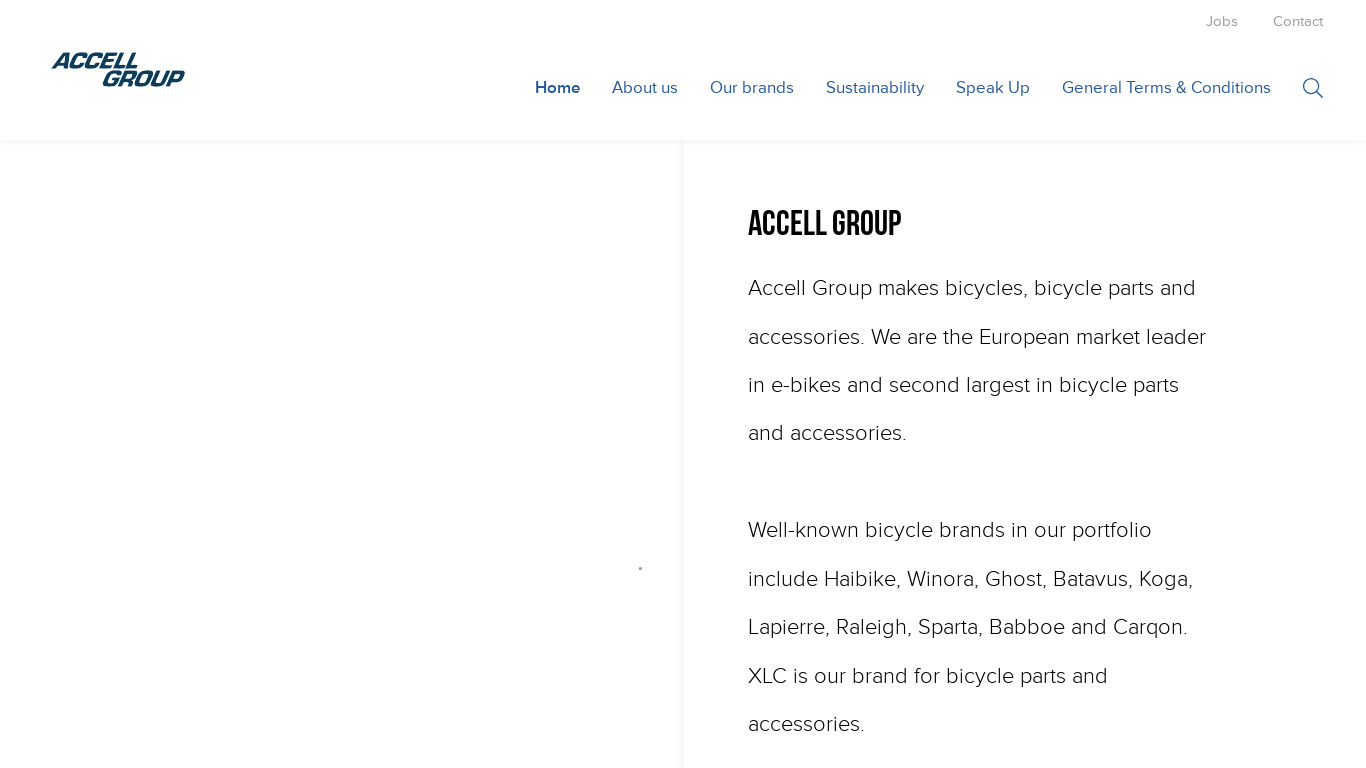 Accely Group Landing page