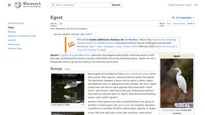 Egret image