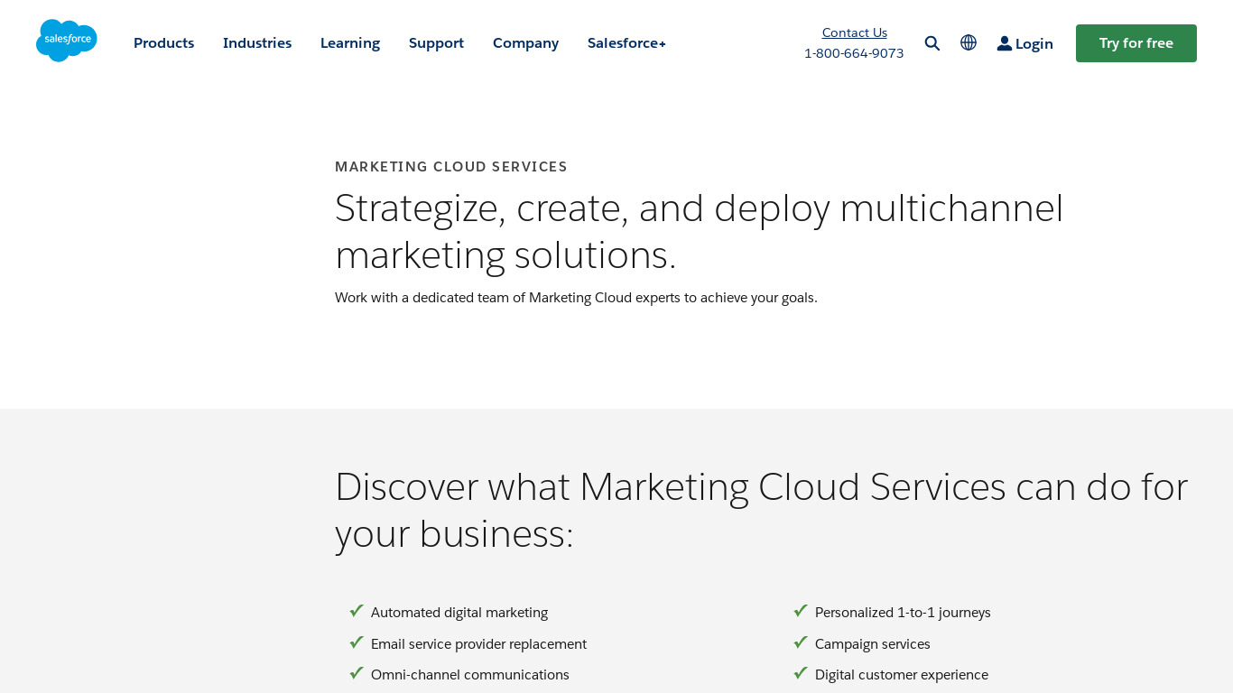 Salesforce Marketing Cloud consulting Services Landing page