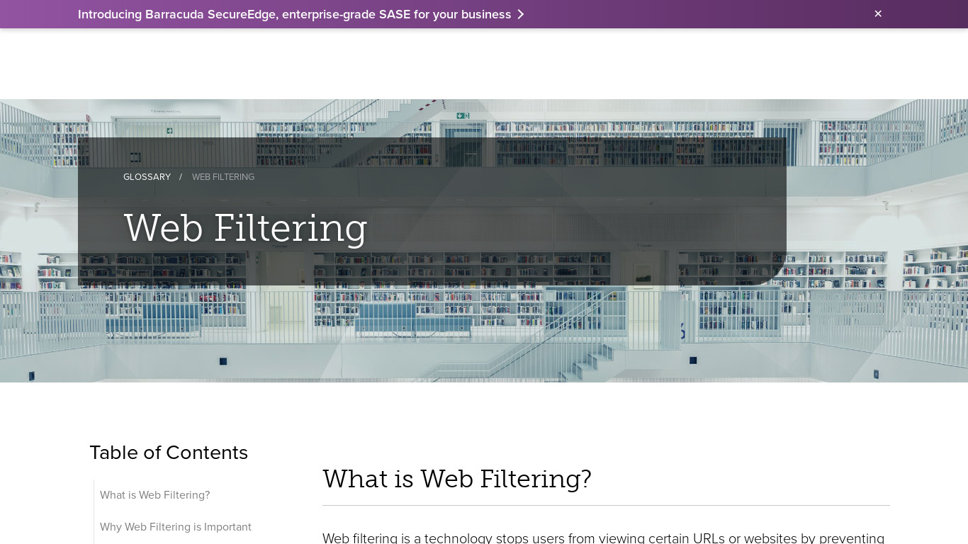 Web Filter Landing page