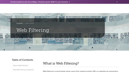 Web Filter image