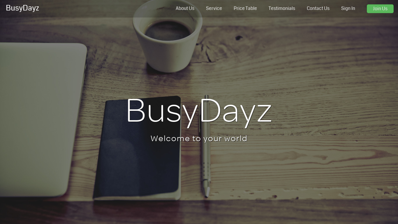 BusyDayz Landing page