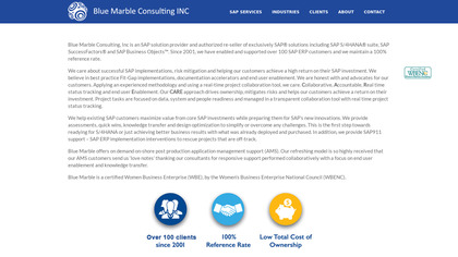 Blue Marble Consulting image