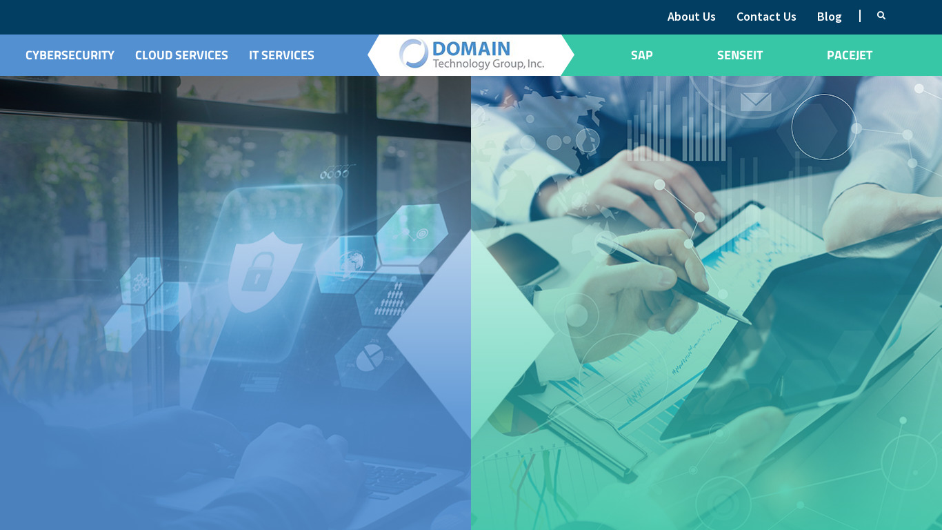 Domain Consulting Group Landing page