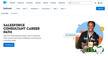 Salesforce.com Consulting image
