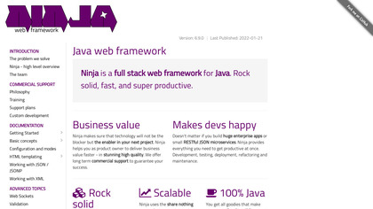 Ninja Framework image