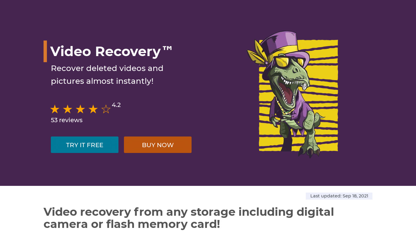 Video Recoveryhttps by DiskInternals Landing page