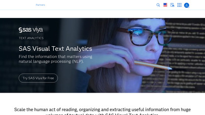 SAS Sentiment Analysis image