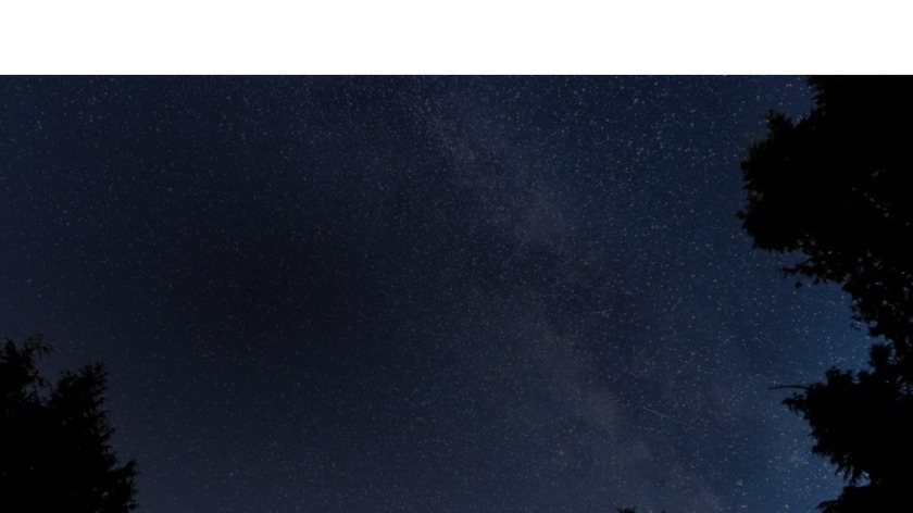 Bison Grid Landing Page