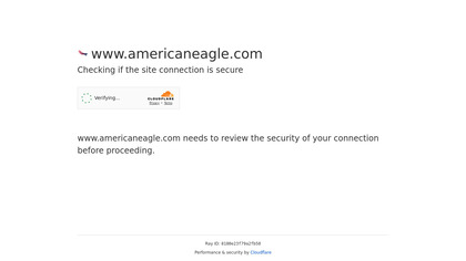 American Eagle image