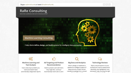 RaRe Consulting image