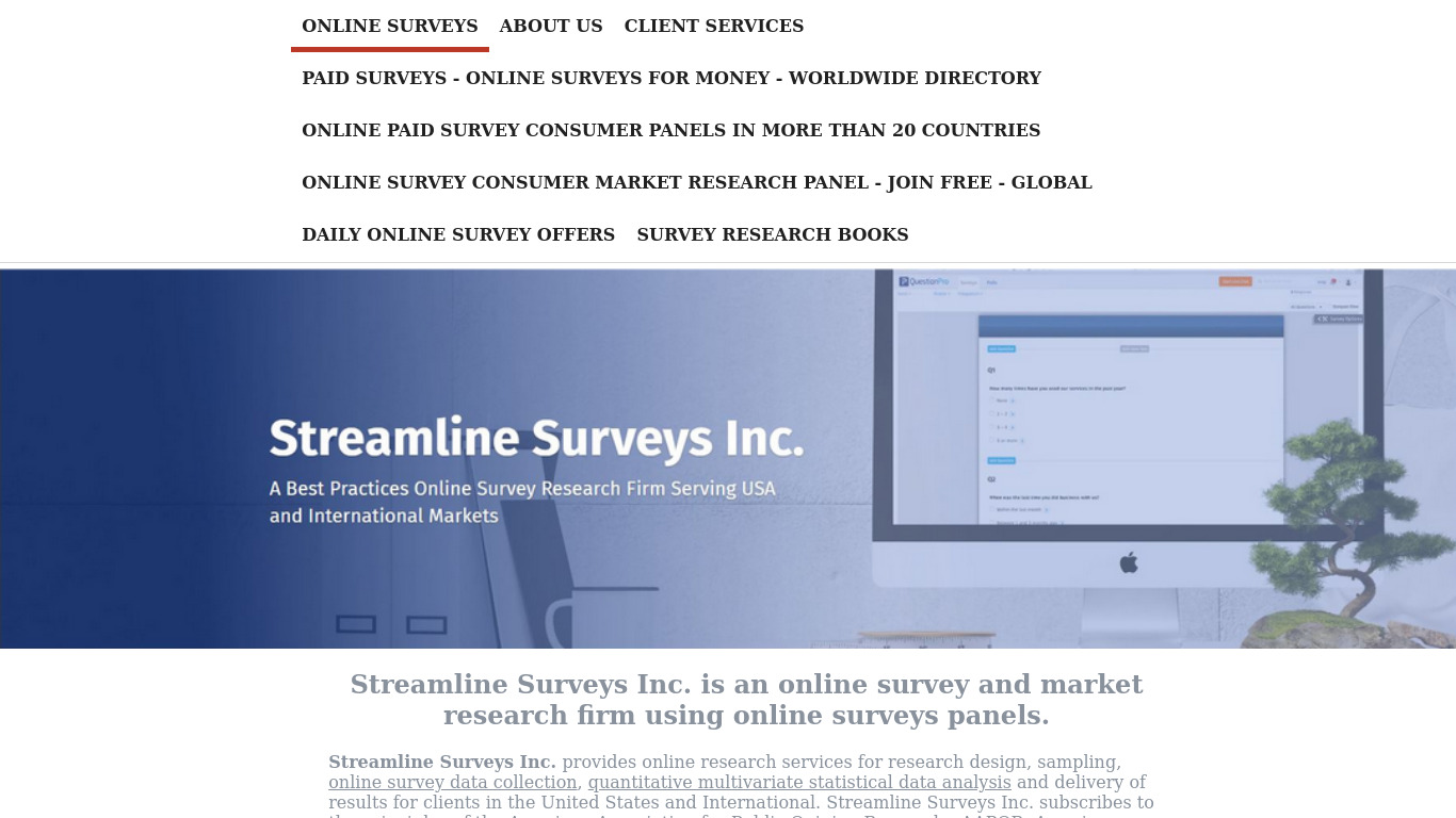Streamline Surveys Landing page