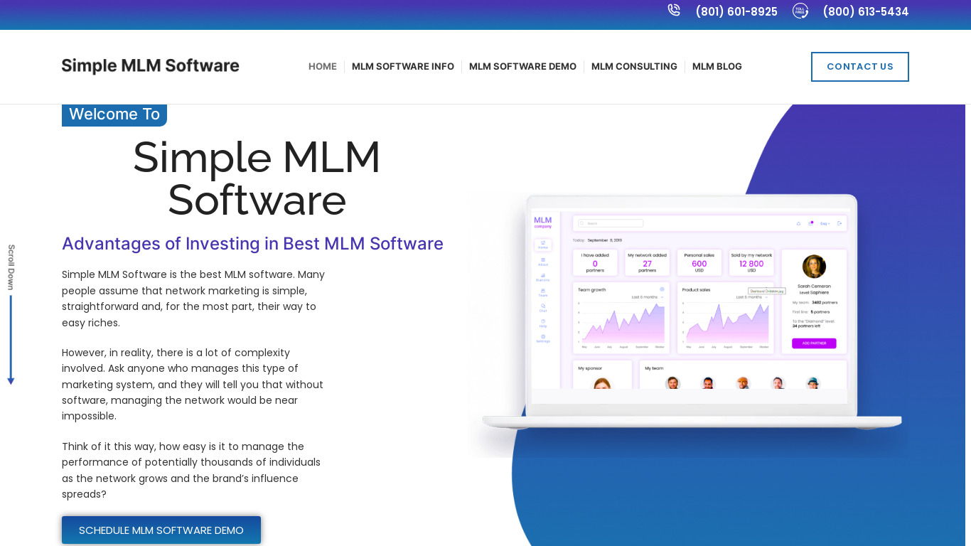 Simple MLM Software Landing page