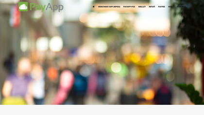 PayApp image