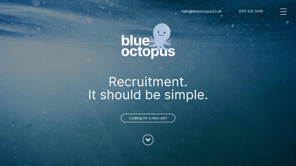 Blue Octopus image
