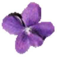 Violet UML Editor logo