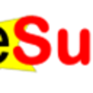 eSurv.org logo