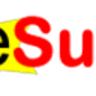 eSurv.org logo