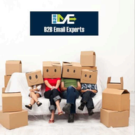 B2B Email Experts logo