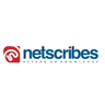 Netscribes logo