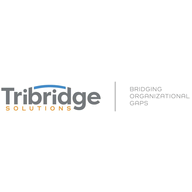 Tribridge Consulting logo