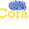 Coral Risk for G Suite logo