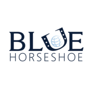 Blue Horseshoe Solutions logo