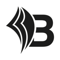 Aktiv LLC logo
