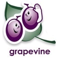 Grapevine Surveys logo