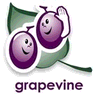 Grapevine Surveys