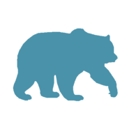 Blue Bear Creative LLC logo