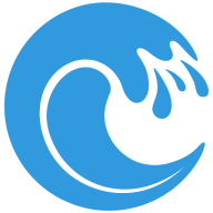 CleverOcean logo