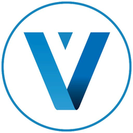 Virtual Vertex Muster logo