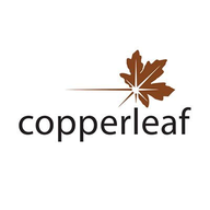 resources.copperleaf.com Copperleaf logo