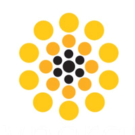 Synergis Adept logo