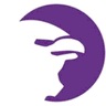 StreetHawk logo