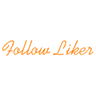 Follow Liker logo