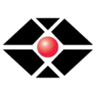 Dallas Data Systems logo