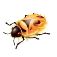 Firebug logo