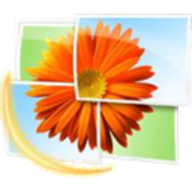 Windows Live Photo Gallery logo