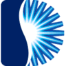 Dynamic Budgets logo