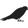 Blockbird Data logo