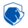 Netflare icon