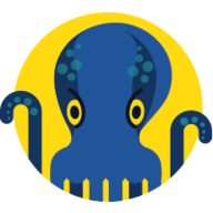 JetOctopus logo