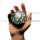 Vantiv icon