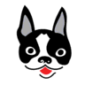 TopDogHR logo