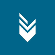 Digital Function logo