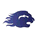 Verteego icon