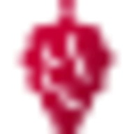 Vitipad logo
